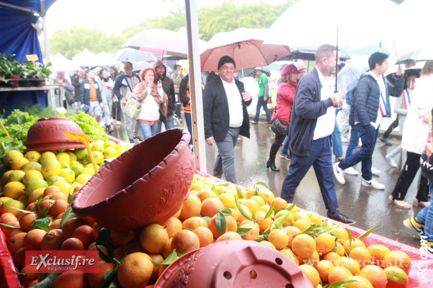 Des produits du terroir dans l'air frais palmiplainois Des produits du terroir dans l'air frais palmiplainois