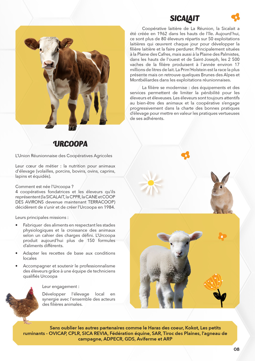 Miel Vert 2025 à la Plaine des Cafres: «Tout est bon dans le cochon!» Miel Vert 2025 à la Plaine des Cafres: «Tout est bon dans le cochon!»