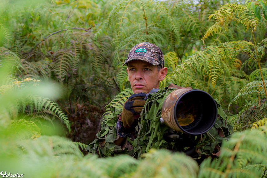 YabAlex, un photographe passionné par la nature. Il peut rester en attente de la bonne photo pendant des heures.... YabAlex, un photographe passionné par la nature. Il peut rester en attente de la bonne photo pendant des heures....