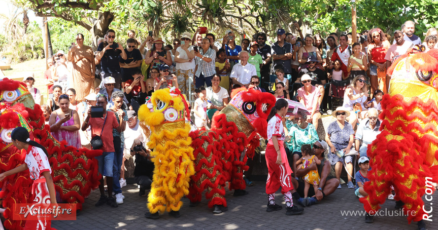 Les lions multicolores au plus près du public Les lions multicolores au plus près du public