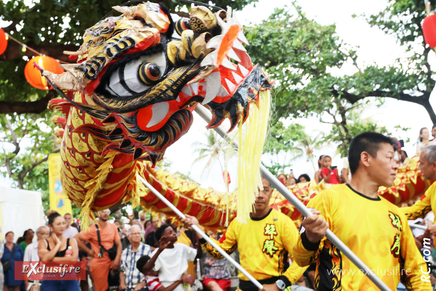 L'impressionnante tête du dragon au dessus de la mêlée