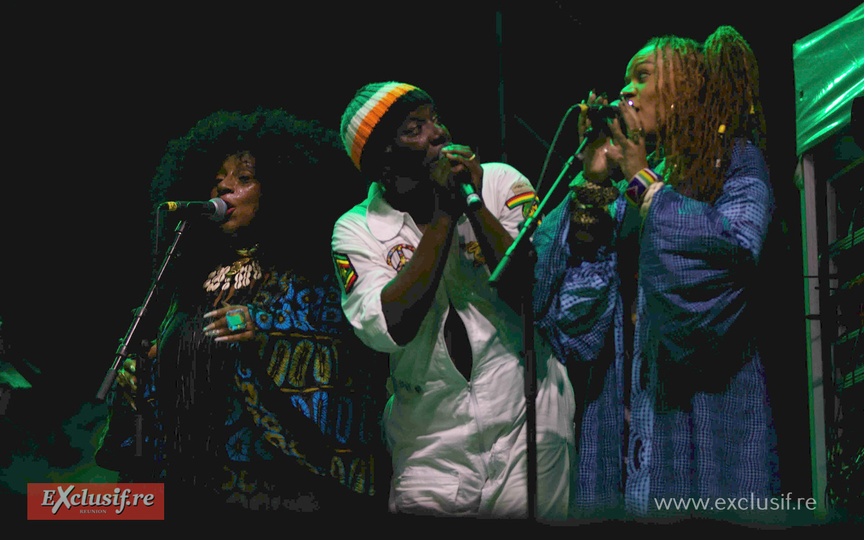 Concert Alpha Blondy à la Ravine Saint-Leu: photos