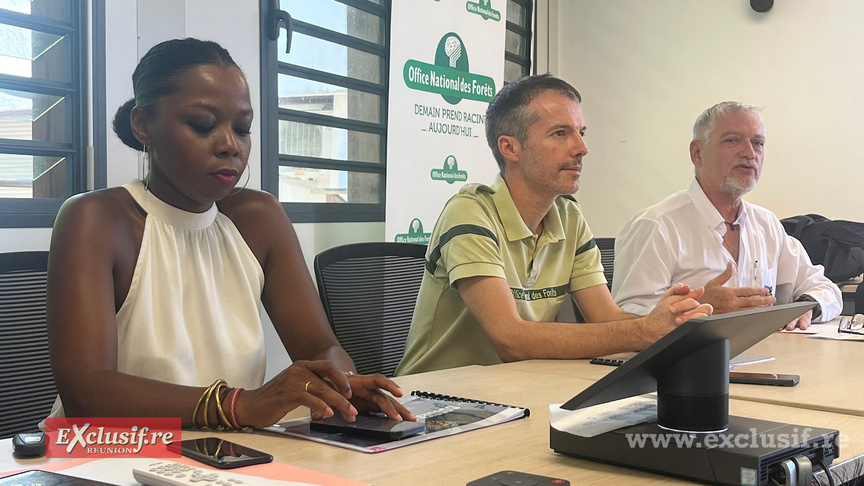 Valérie Filain, directrice régionale Réunion 1ère, Benoît Loussier, directeur régional ONF, et Pierre Maunier, président du Grand Raid, lors de la conférence d presse de présentation Valérie Filain, directrice régionale Réunion 1ère, Benoît Loussier, directeur régional ONF, et Pierre Maunier, président du Grand Raid, lors de la conférence d presse de présentation