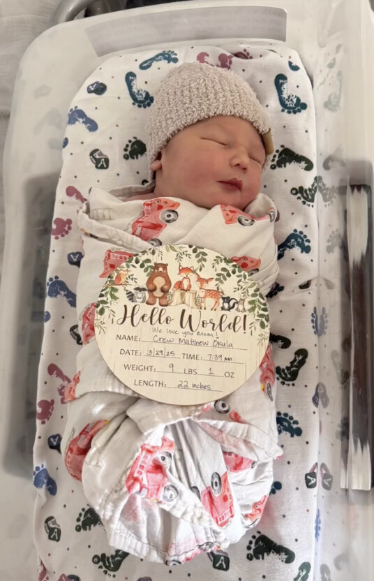 Crew est né, mais il n'a plus de maman... Crew est né, mais il n'a plus de maman...