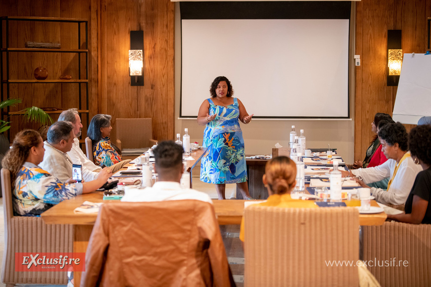 "Femmes Visionnaires de l’Océan Indien": pour créer un élan régional "Femmes Visionnaires de l’Océan Indien": pour créer un élan régional