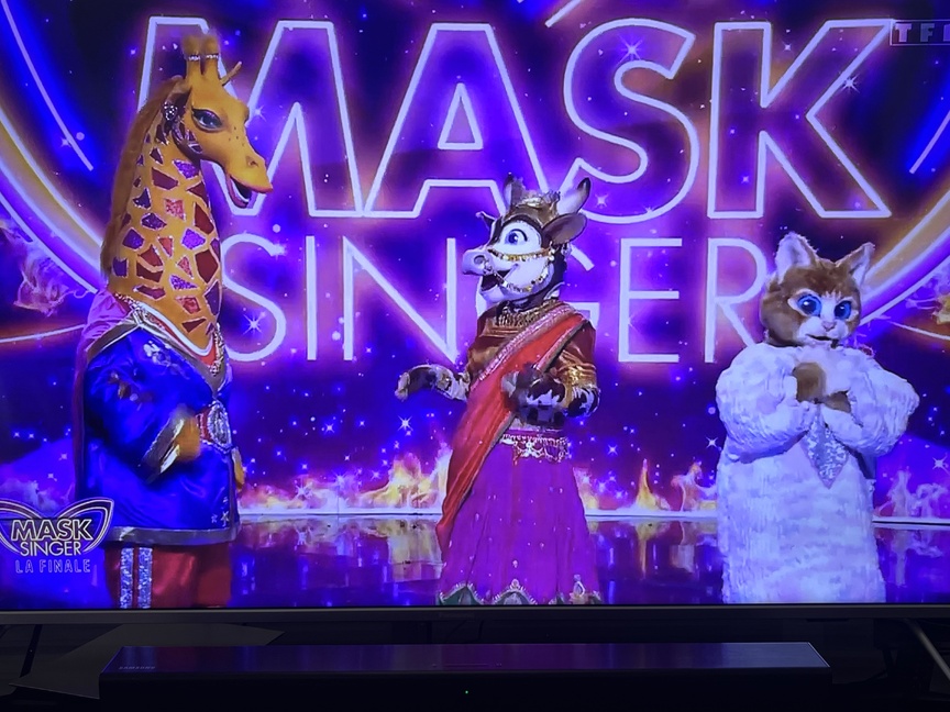 En finale, la Girafe, la Vache et le Chaton