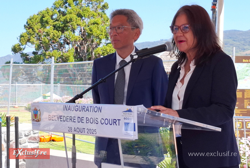 Marie-Luce Brasier, députée européenne Marie-Luce Brasier, députée européenne