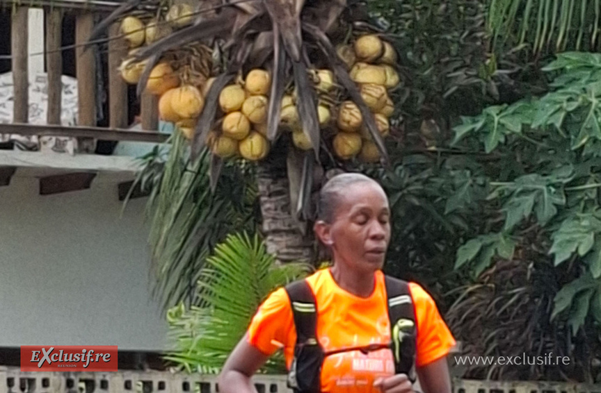 Le «  coco  » dans les cocos