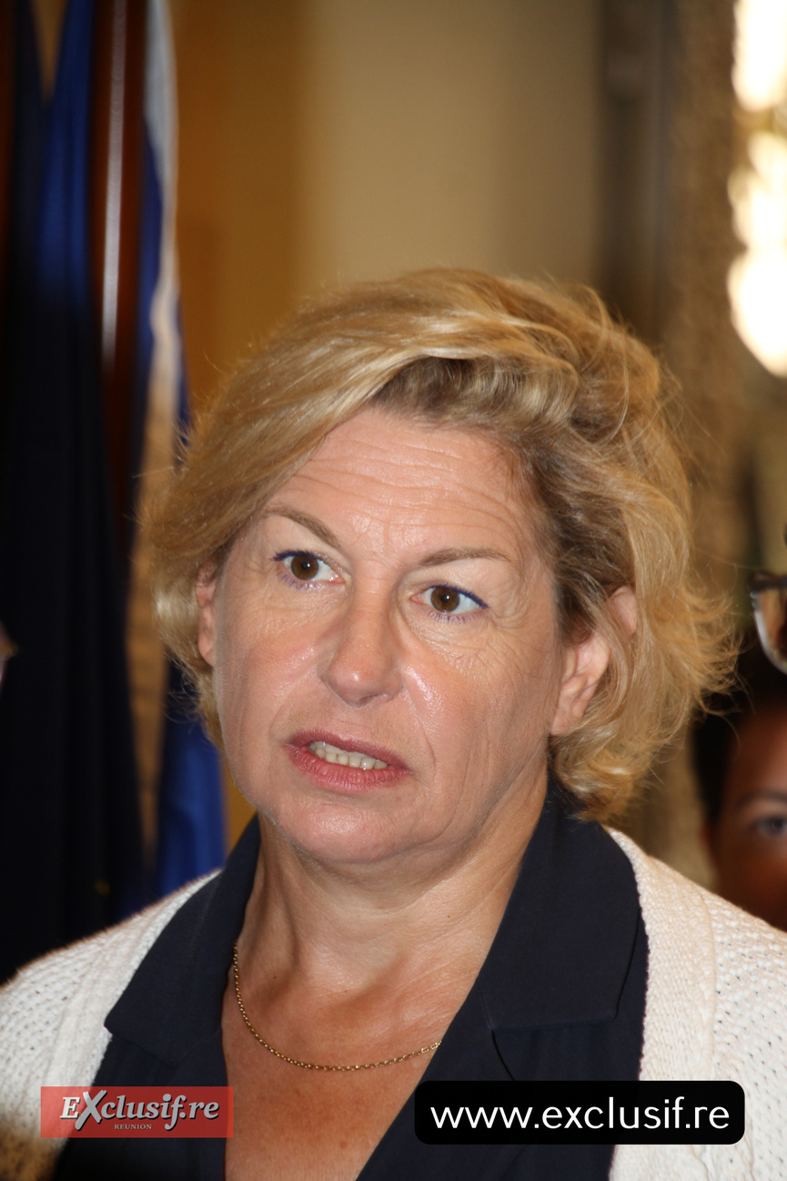 Visite de la Ministre déléguée chargée du Tourisme au Département