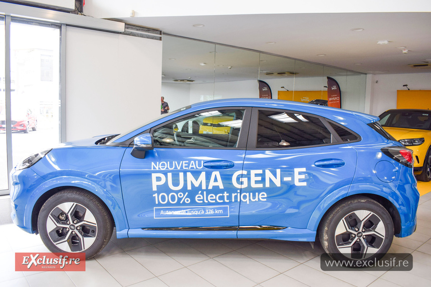 Le Puma Gen-E a des atouts à faire valoir Le Puma Gen-E a des atouts à faire valoir
