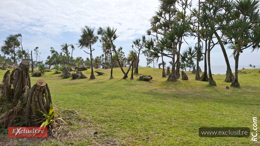 Lancement d'Est Aventure Trail: un rendez-vous touristique et sportif ce week-end Lancement d'Est Aventure Trail: un rendez-vous touristique et sportif ce week-end