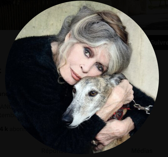 Brigitte Bardot a eu 91 ans fin septembre (photo X @brigitte_bardot) Brigitte Bardot a eu 91 ans fin septembre (photo X @brigitte_bardot)