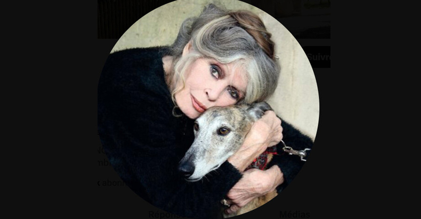 Brigitte Bardot hospitalisée "dans le cadre d'une maladie grave" Brigitte Bardot hospitalisée "dans le cadre d'une maladie grave"