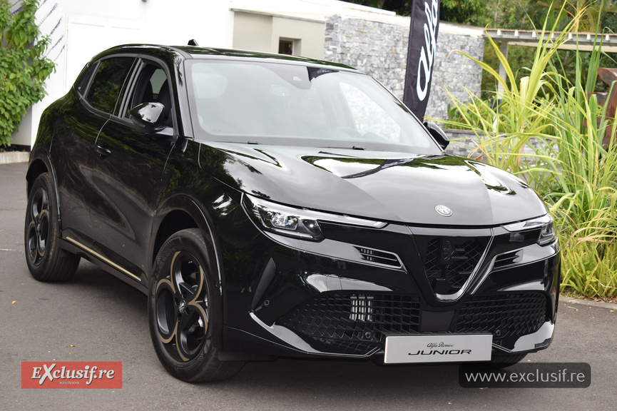 Il faut reconnaître que cette Junior est attirante...