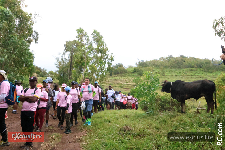 Sous le regard d'une bien jolie et impertubable vache sur le parcours! Sous le regard d'une bien jolie et impertubable vache sur le parcours!