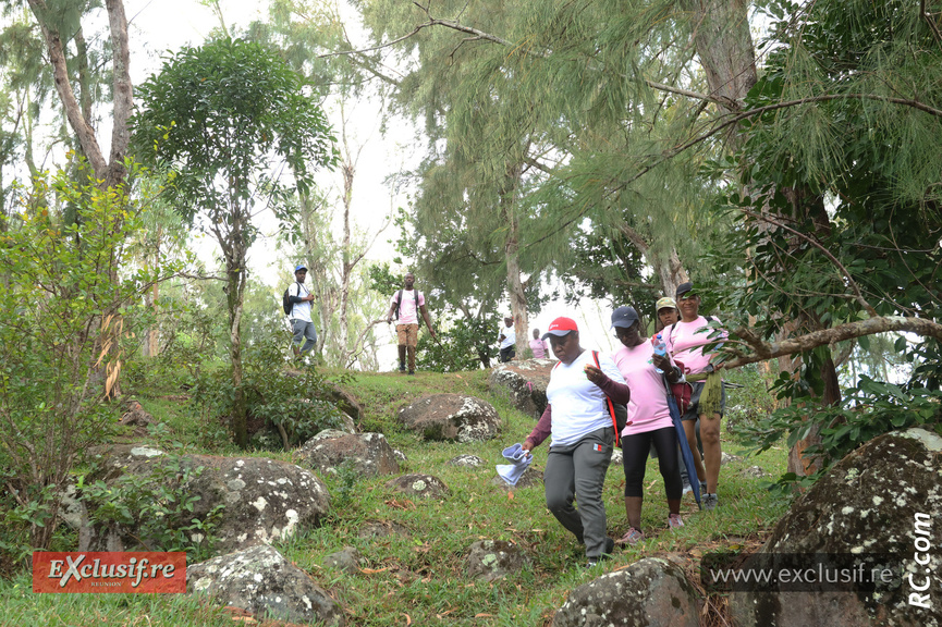 Verte prairie et vue sur la mer