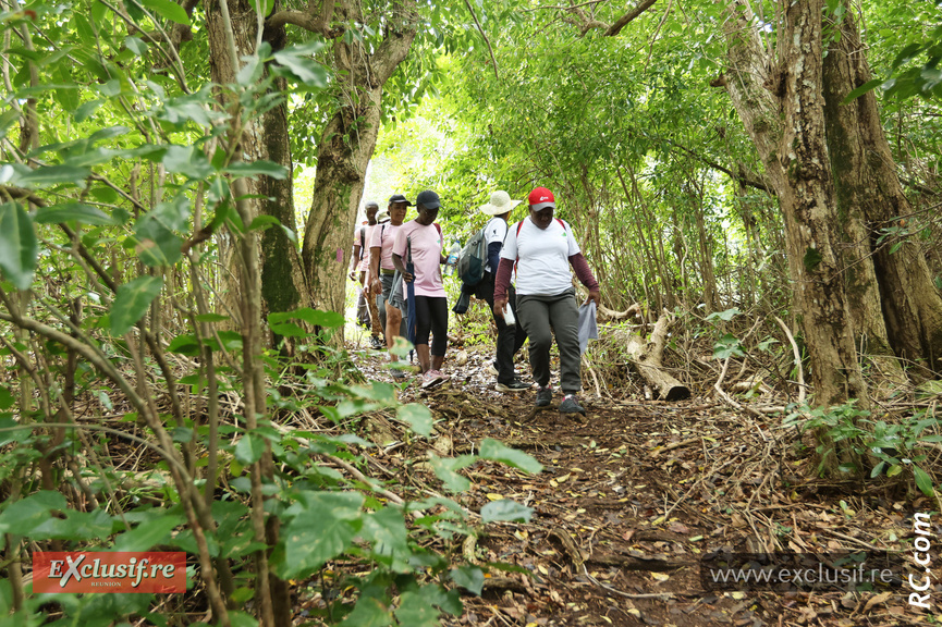 Après les montées, les descentes Après les montées, les descentes
