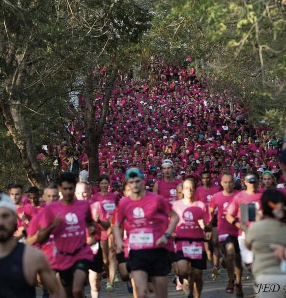 La vague rose a submergé la forêt de l'Etang-Salé...