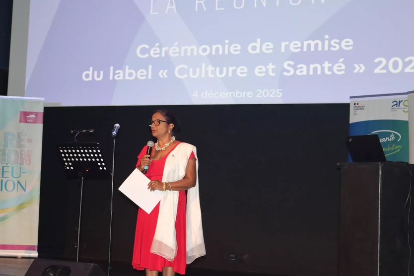 “Culture et Santé”: deux nouveaux établissements labellisés à La Réunion “Culture et Santé”: deux nouveaux établissements labellisés à La Réunion