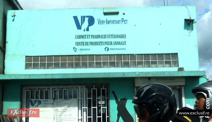 Attention, faut lire en anglais : « Very Important Pet »