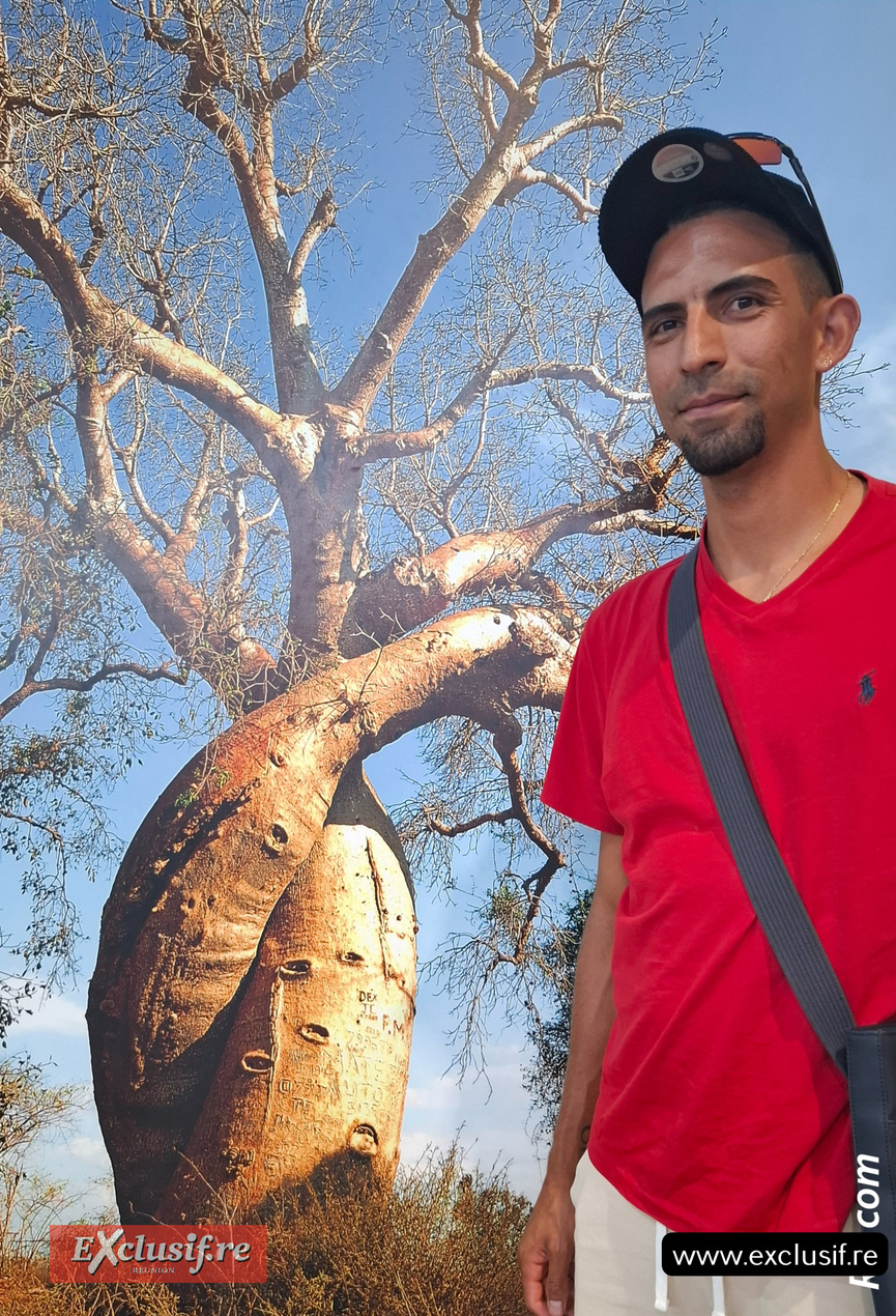 Vincent Perrault : solide comme un baobab