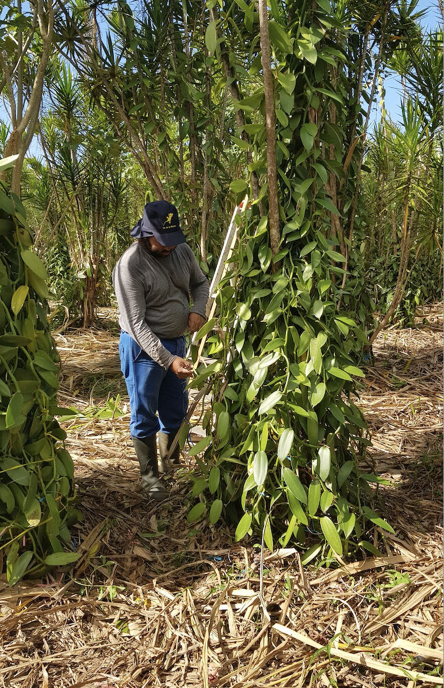 Amandine Payet-Roulof, agricultrice à Saint-André, Prix d'Excellence 2026 du Concours Général Agricole