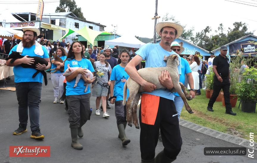 Défilé avec cochons, chèvres, lapins ... Défilé avec cochons, chèvres, lapins ...