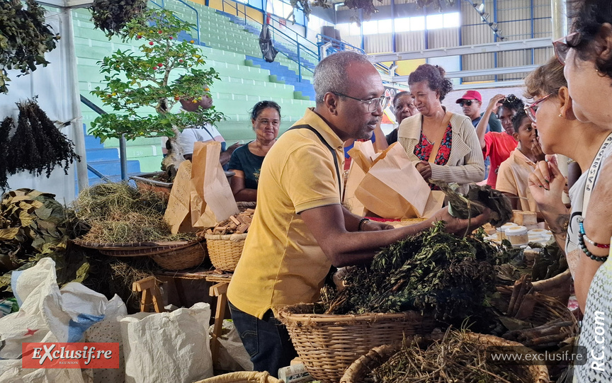 Fabrice Thémyr, tisanier... Fabrice Thémyr, tisanier...