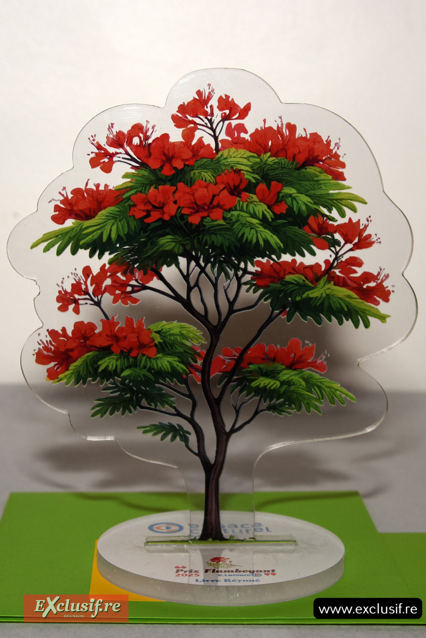 Prix Flamboyant 2025: 6 auteurs et artistes locaux récompensés Prix Flamboyant 2025: 6 auteurs et artistes locaux récompensés