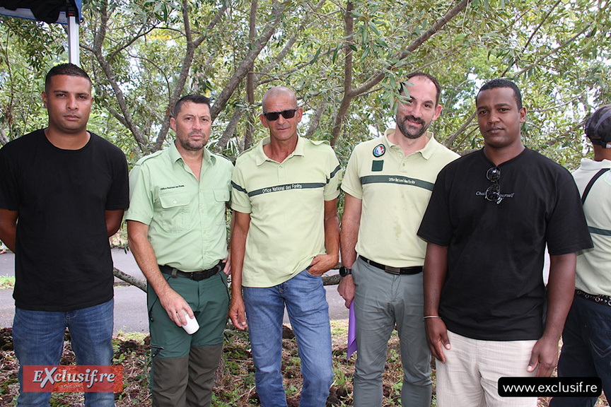 ONF 2026: voeux et remise de médailles à 19 agents émérites ONF 2026: voeux et remise de médailles à 19 agents émérites