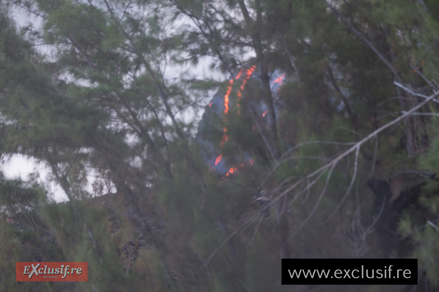 Volcan 2026: des images de ce week-end du 21 mars