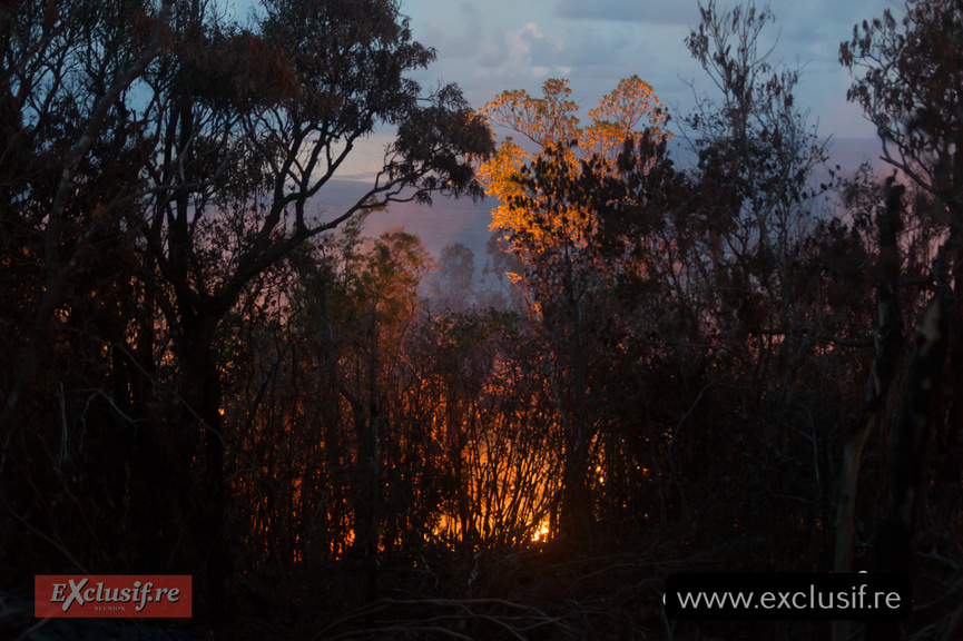 Volcan: l'éruption continue, photos Volcan: l'éruption continue, photos