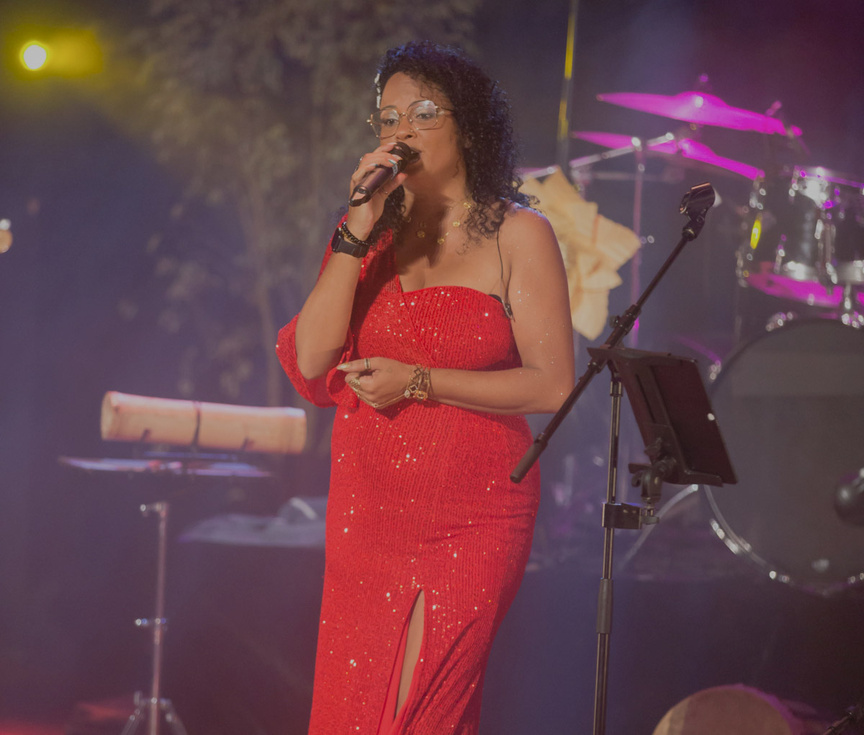Concert Bèf Séga et ses invités à la Plaine des Palmistes: photos