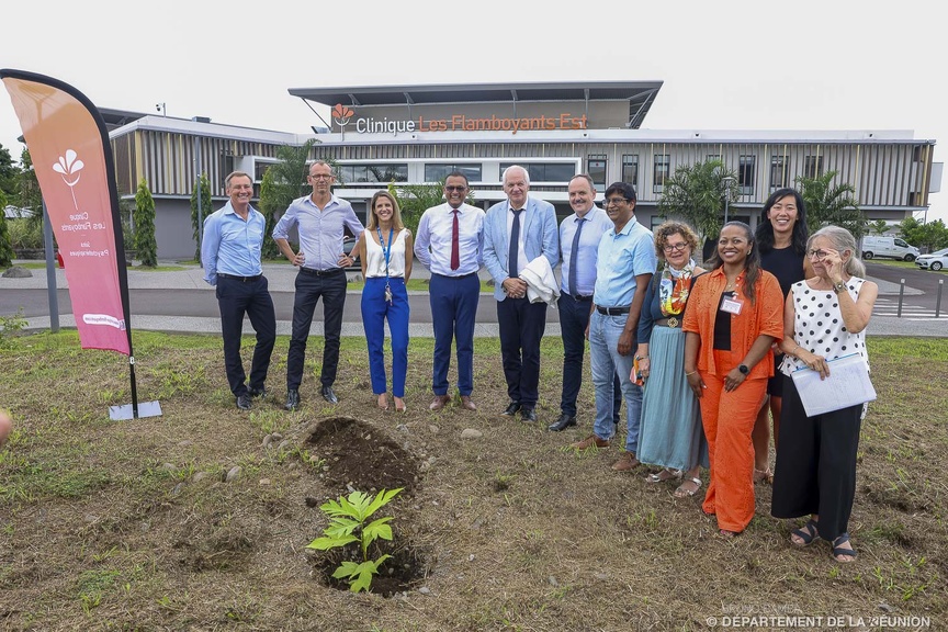 3 pieds de fruits à pain ont été plantés...
