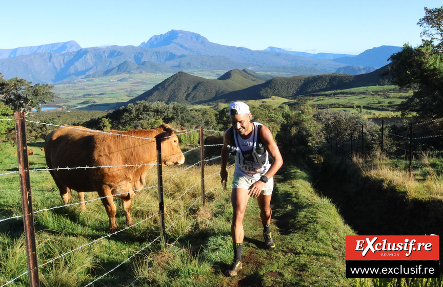 Une vache qui rit ? Une vache qui rit ?