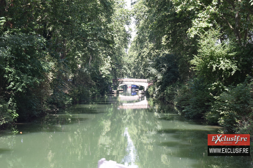 Toulouse: croisière sur la Garonne et le Canal de Brienne