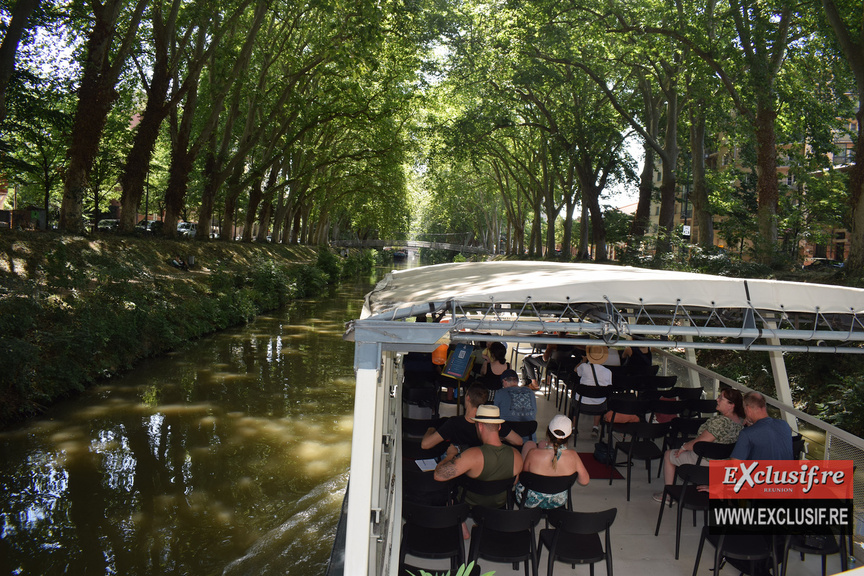 Toulouse: croisière sur la Garonne et le Canal de Brienne
