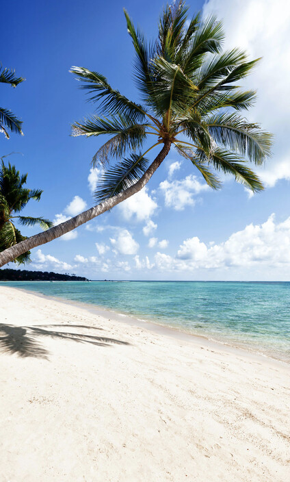 Koh Samui, une île très prisée avec de magnifiques plages, désormais accessible de La Réunion via Bangkok (photo Office du Tourisme de Thaïlande)