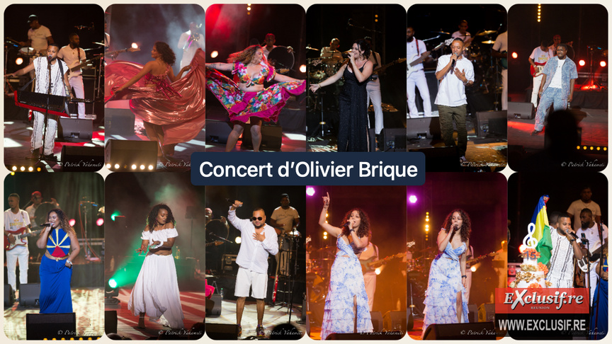 Concert des 15 ans d'Olivier Brique: photos 