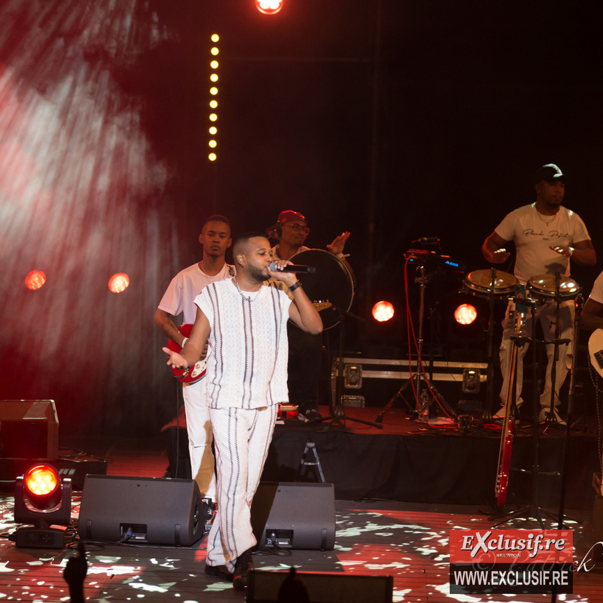 Concert des 15 ans d'Olivier Brique: photos 