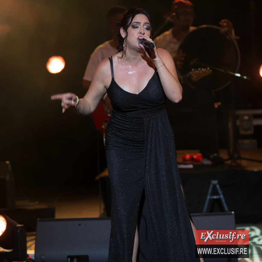 Concert des 15 ans d'Olivier Brique: photos 