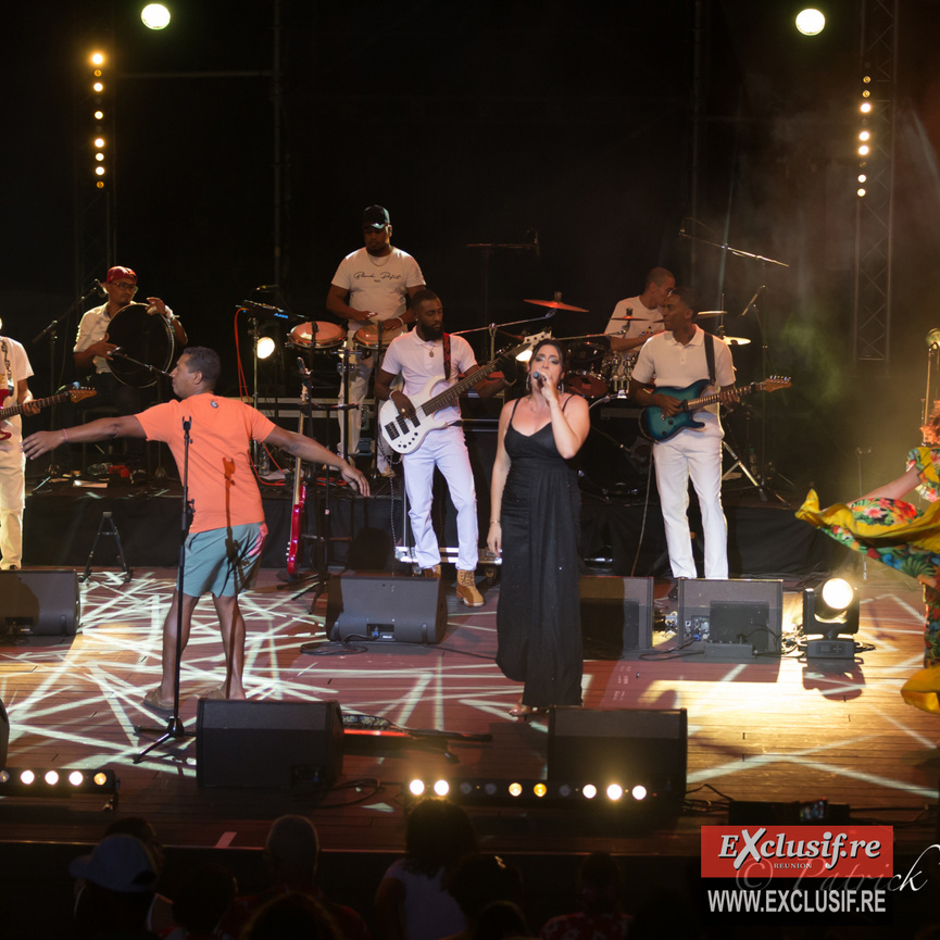Concert des 15 ans d'Olivier Brique: photos 