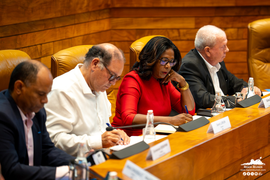 Région Réunion: le projet du Schéma d’aménagement régional présenté à la CESAR