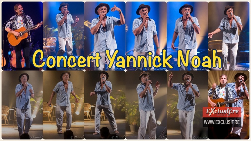 Concert de Yannick Noah au Téat Champ Fleuri: photos