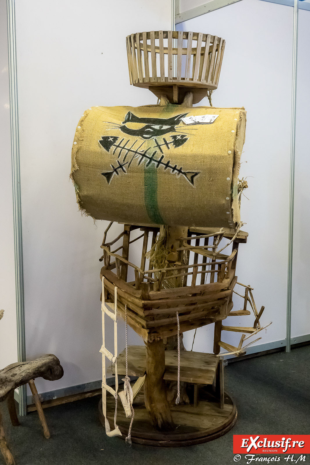 Expo Féline: chats alors!