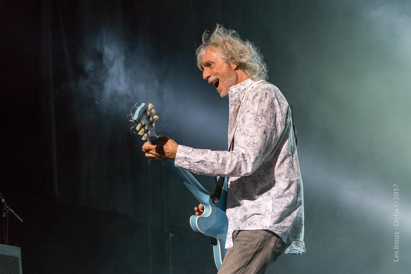 Les Insus en concert