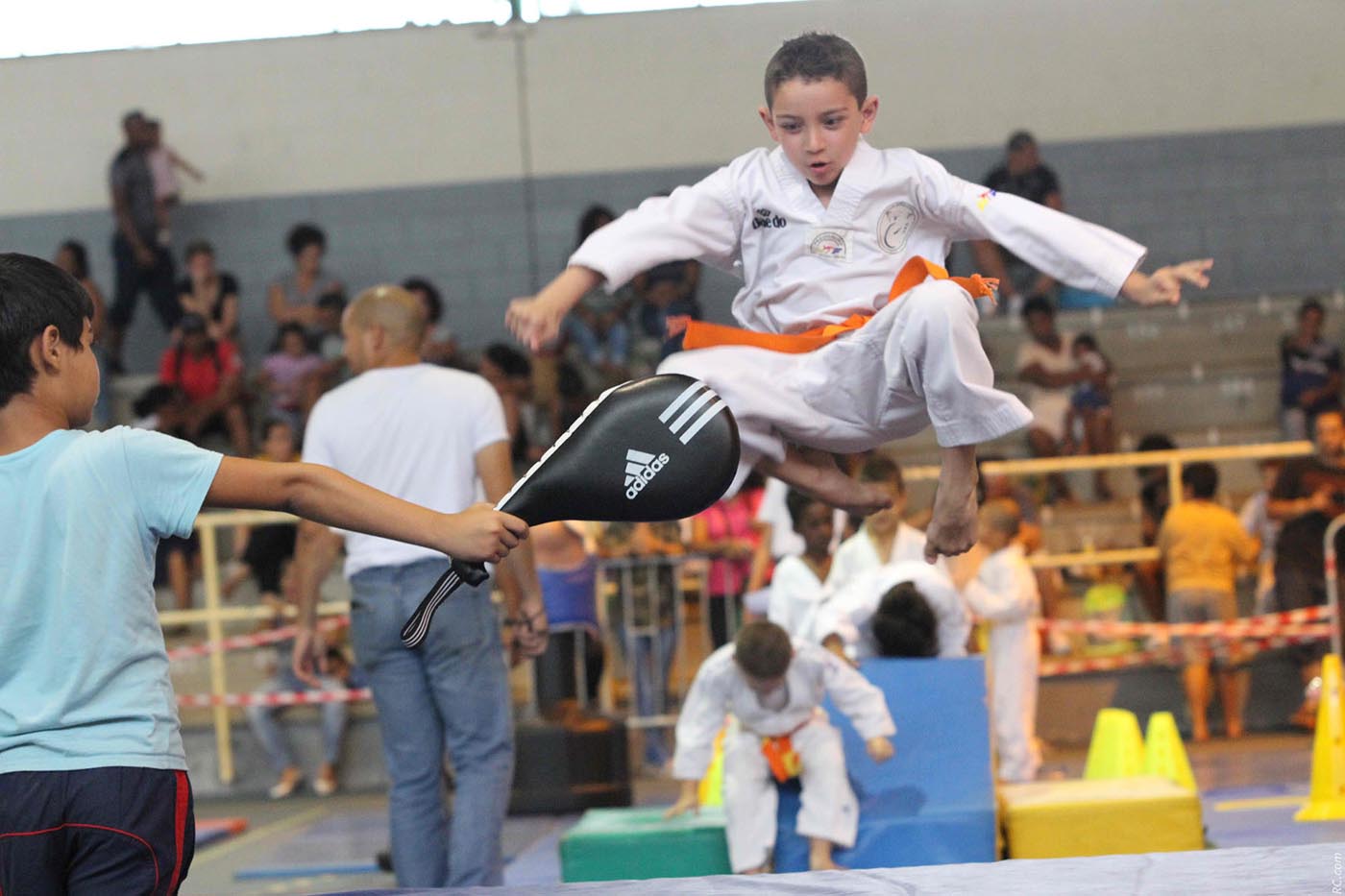 Taekwondo : Succès du Trophée Dojang