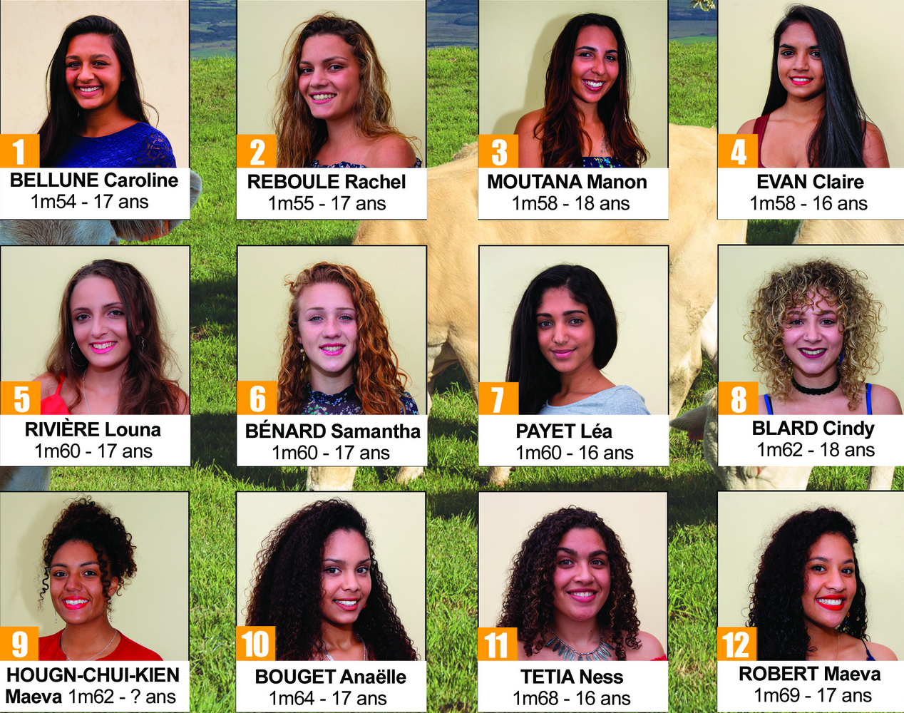 Faites vos pronostics! Faites vos pronostics!