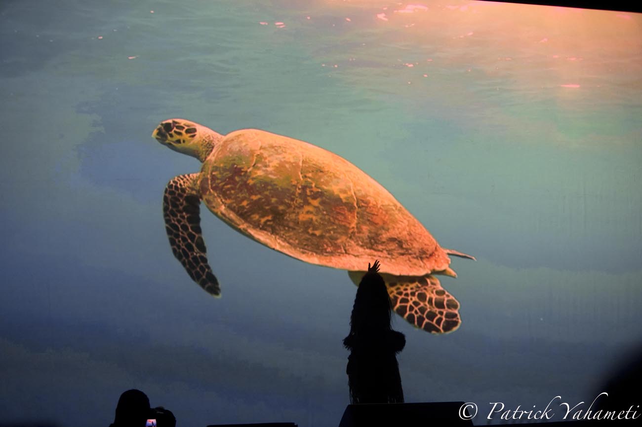 Vaiana fait le plein au Stade de l'Est: les photos Vaiana fait le plein au Stade de l'Est: les photos