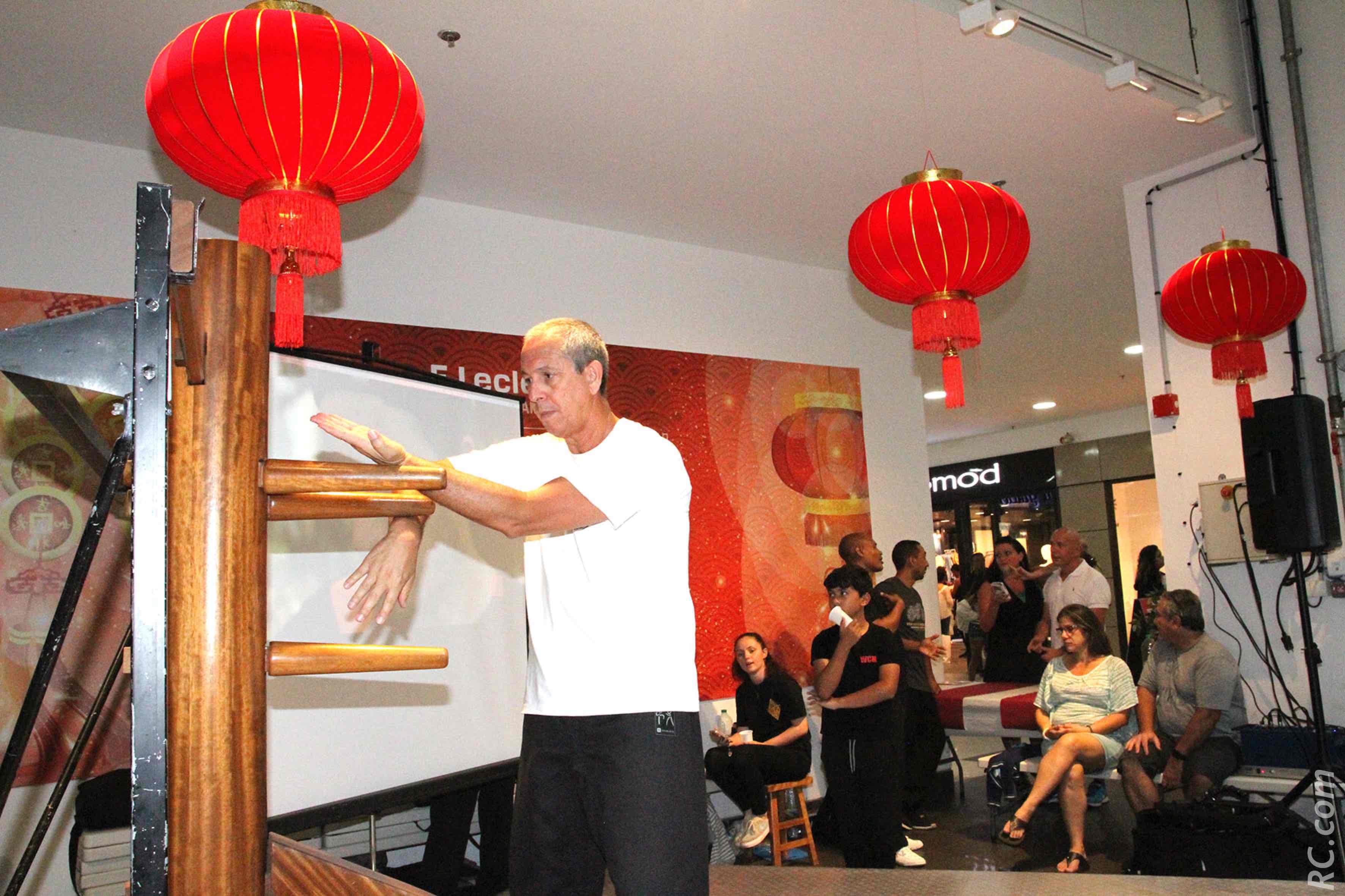 Démonstration sur le mannequin de bois par Sifu Muller Lauret